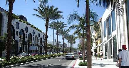 ヤシの木が並ぶロサンゼルスの街並みの写真