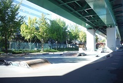 写真:若宮大通公園のスケートパーク