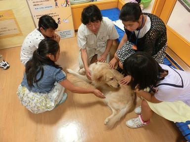 施設見学:動物愛護センターの写真