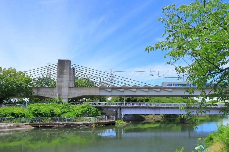 荒子川公園内とあおなみ線の風景の写真