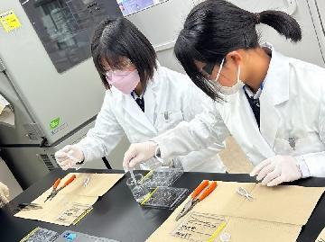 写真:株式会社メニコンでの体験風景