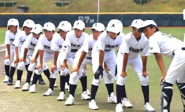 写真：活動風景