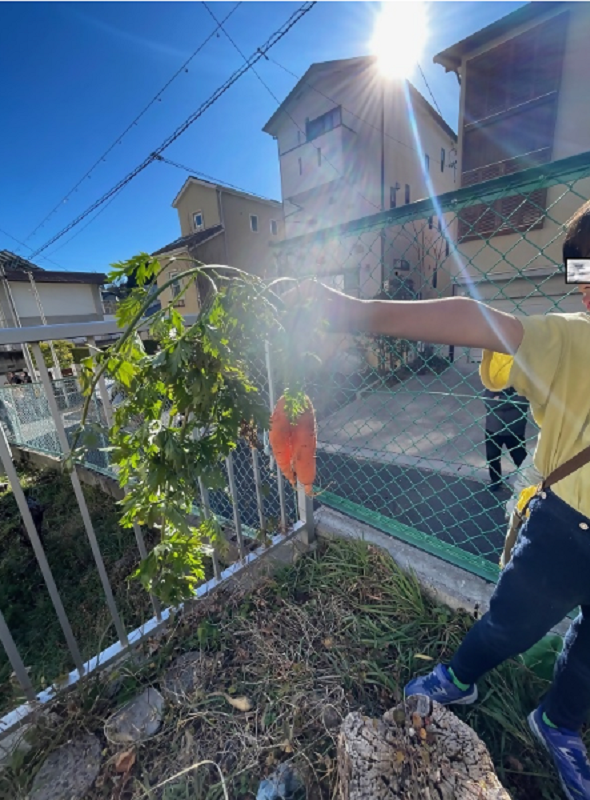 写真：収穫の様子4