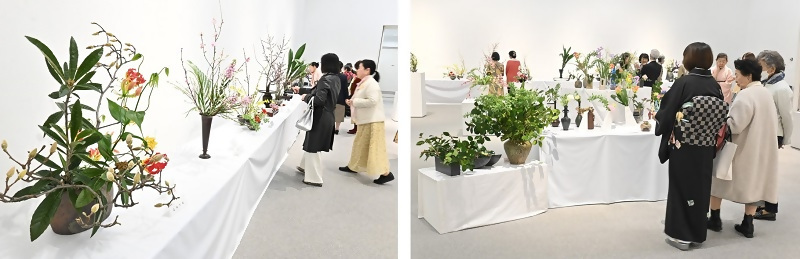 会場の壁面に展示された作品、参加型コーナーの写真