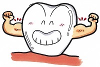 元気な歯のイラスト