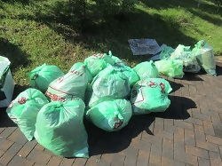 中央部で集まったゴミの写真