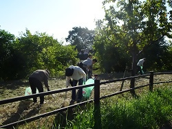 写真:北部清掃活動の様子