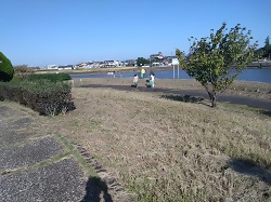 写真:南部清掃活動の様子