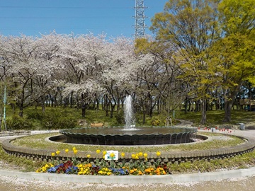 写真：横井山緑地