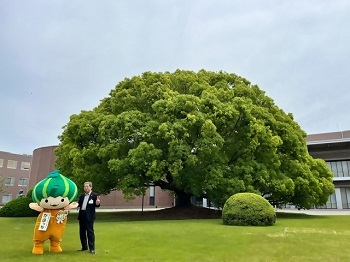 写真：大きく枝を広げた天樹の前で記念撮影