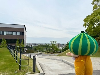 写真：高台からの眺め