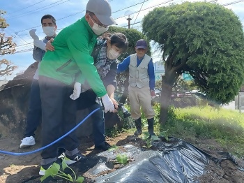 写真：水やりの様子
