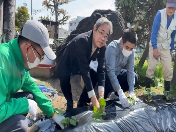 写真：苗植えの様子