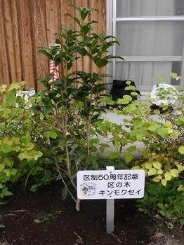 設置した記念プレートの写真