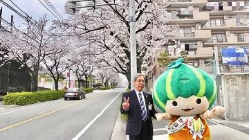 写真：区長とかぼっち（植田の桜並木2）