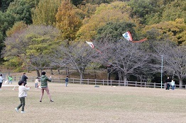 凧揚げの様子の写真