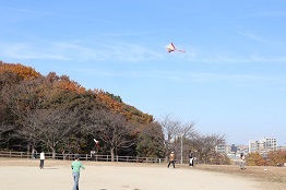 凧揚げの様子の写真