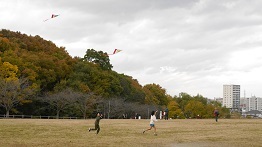 凧揚げの様子の写真