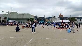 写真:玉入れの様子