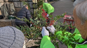 写真:沢上中学校門松づくり南天