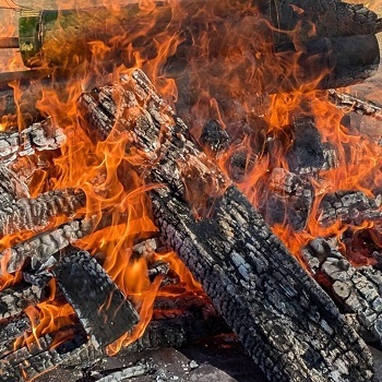 写真:門松どんど焼き