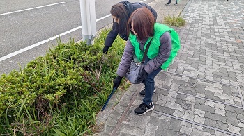 写真:道路脇のゴミ拾い