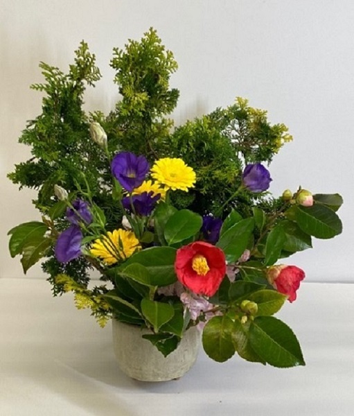 写真：季節の花　令和7年5月