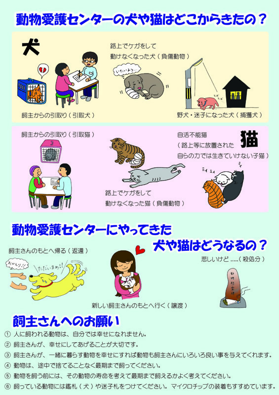 イラスト:動物愛護センターの犬や猫はどこからきたの?のパネル