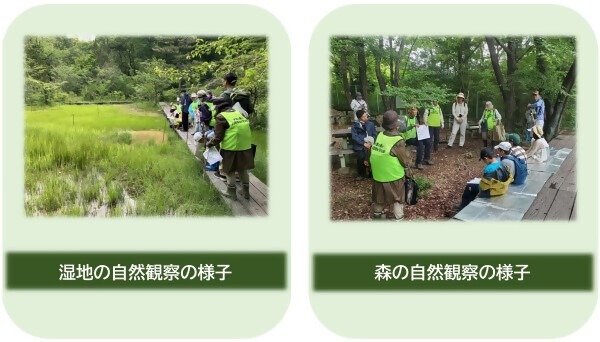 写真:生態系サービス