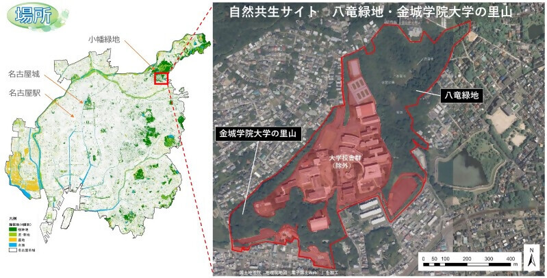 地図:サイト案内図