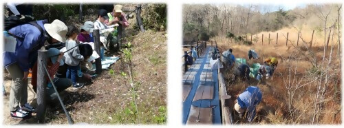 写真:活動の様子