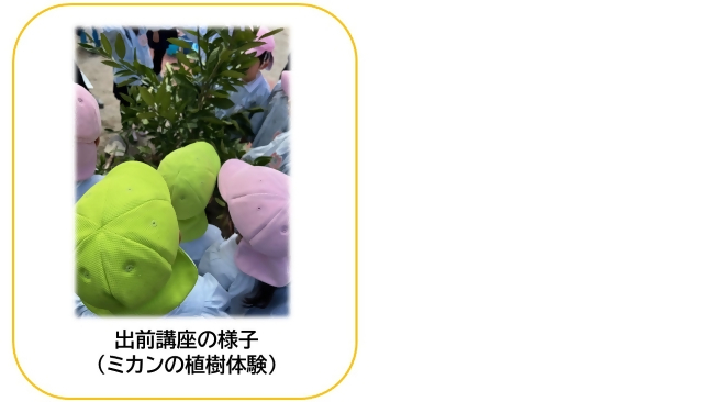 写真：ミカンの植樹体験の様子