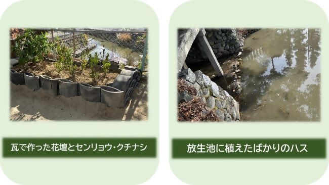 写真：植栽の様子