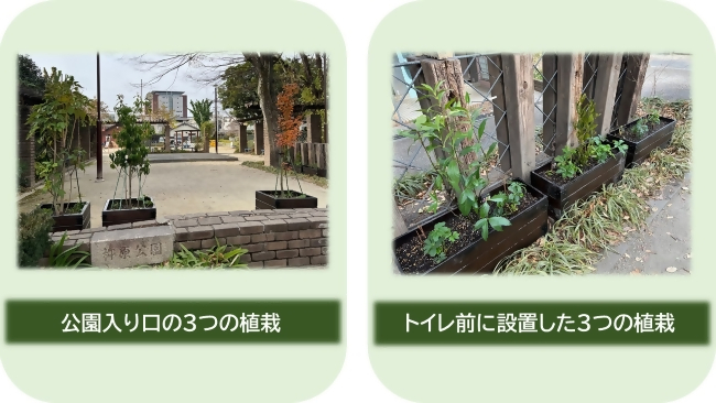 写真：植栽の様子