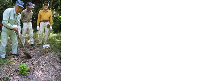 写真:植樹の様子(相生山緑地オアシスの森くらぶ)