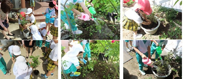 植樹の写真(国風第二幼稚園)