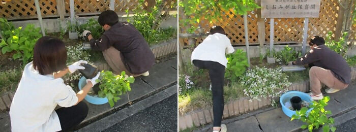 植樹の写真(しおみが丘保育園)