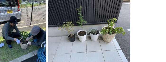 植樹の写真( (株)ナカガワ)