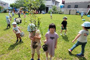 植樹の写真(学校法人藤井学園 岩塚第一幼稚園)