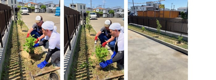 写真:植樹の様子(山本薬品産業株式会社)