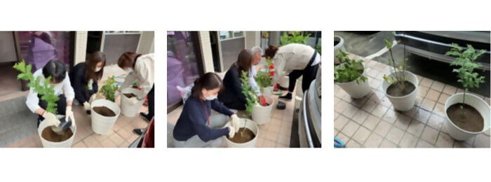 植樹の写真(三好塗装工業株式会社)