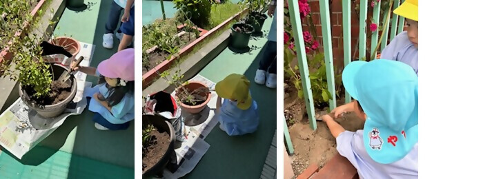 植樹の写真(ともしび幼稚園)