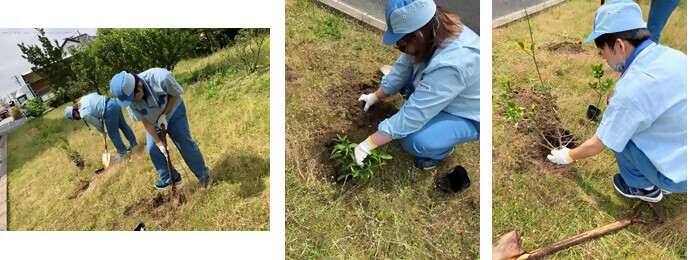 植樹の写真(TOPPAN株式会社)