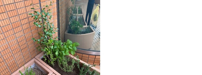 植樹の写真(株式会社ケントク中部支社)