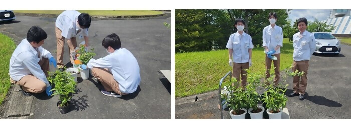 写真:植樹の様子(長田電機工業株式会社)