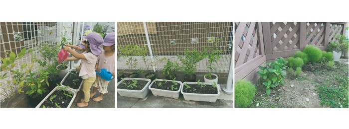 植樹の写真(新生第2保育園)