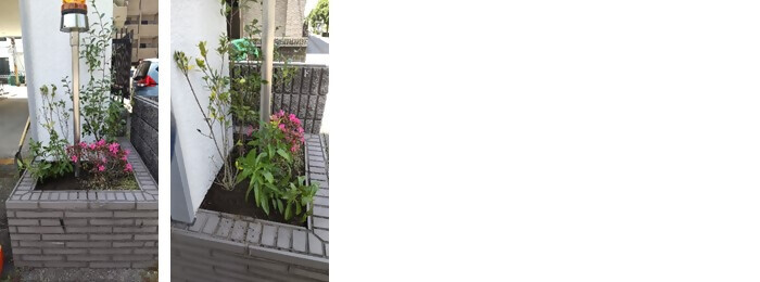 植樹の写真(三宝電機株式会社名古屋支店)