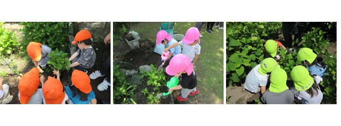 植樹の写真(上小田井第二保育園)