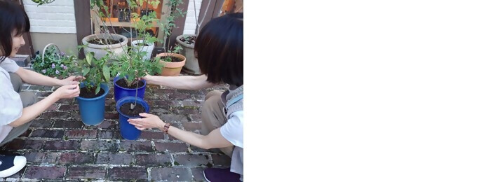 植樹の写真(有限会社糀屋ママズテーブル)