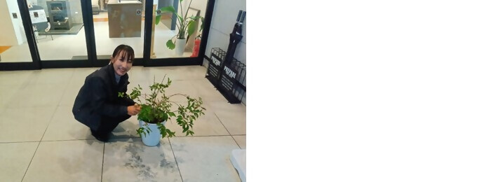 植樹の写真(株式会社安江工務店)